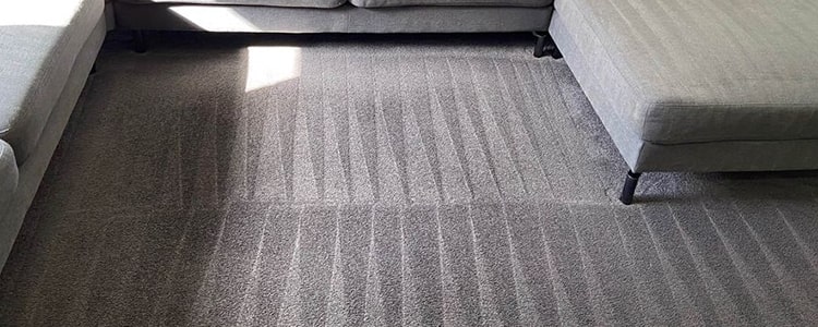 Expert Carpet Cleaning