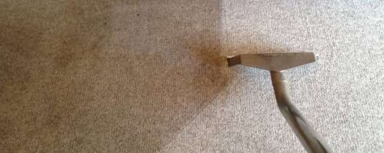 Best End of Lease Carpet Cleaning Richmond